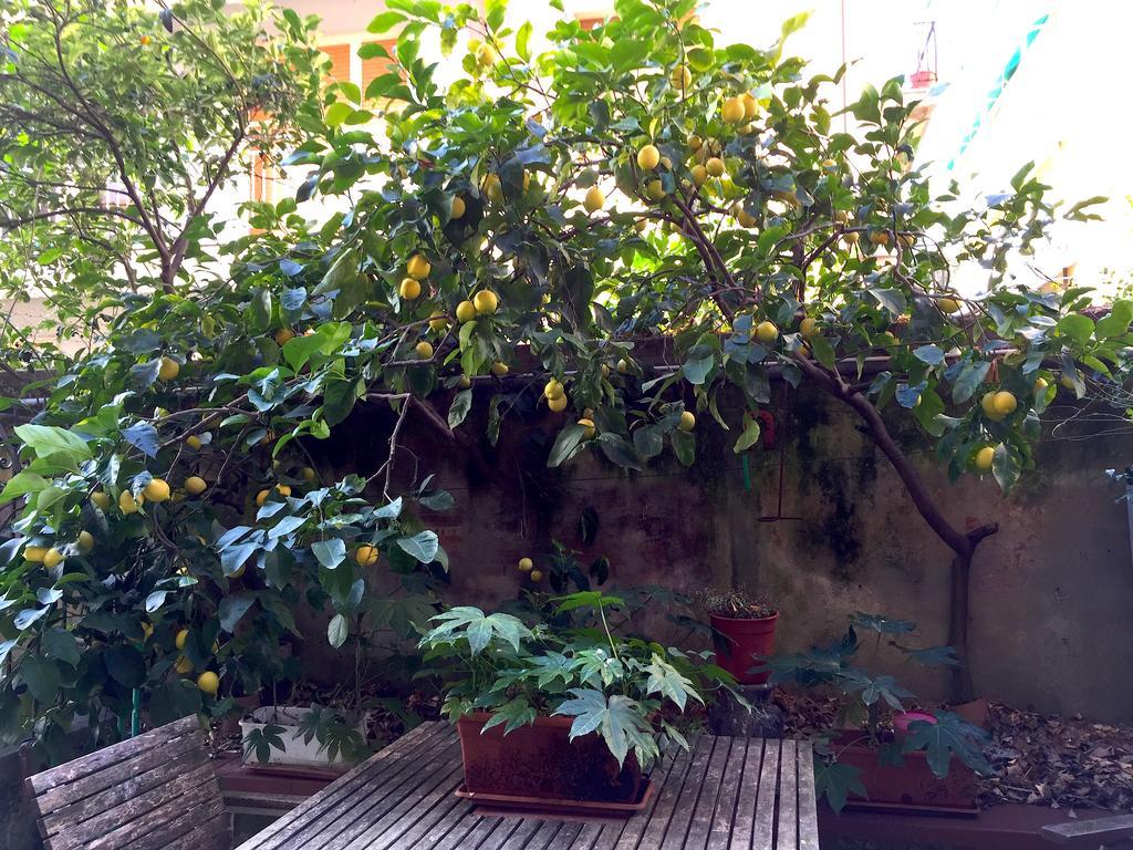 Appartamento Rita レヴァント 部屋 写真